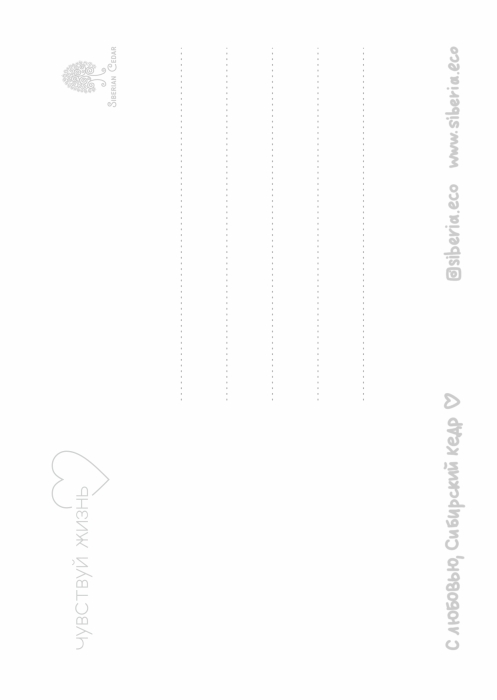 Открытка «Навстречу счастью»‎